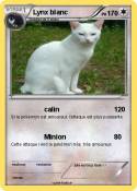 Lynx blanc