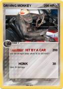 DRIVING MONKEY
