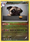 Roi Pug