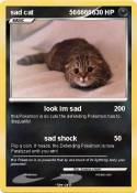 sad cat 5666666