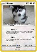 Husky