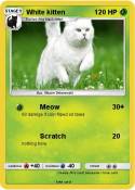 White kitten