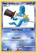 Magic Mudkip
