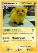 Cat Pikachu