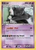 Evil cat