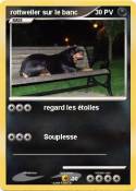rottweiler sur