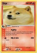 Doge
