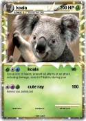 koala