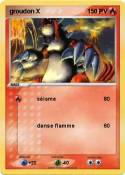 groudon X