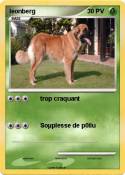 leonberg