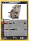 Master Kat