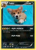 Puppy
