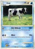 Cow
