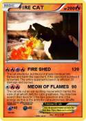 FIRE CAT