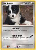 cute dog
