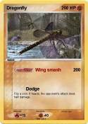 Dragonfly