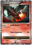 Roi du feu