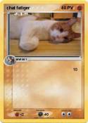 chat fatiger 