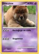 chow-chow