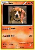 Shep