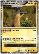 chat bazouka