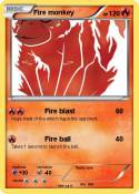 Fire monkey