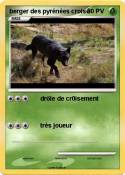 berger des pyré