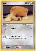 pom