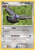 Pigeon