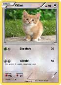 Kitten