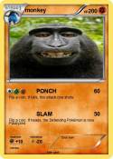 monkey