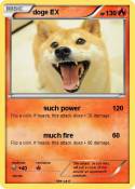 doge EX