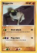Boggerchu