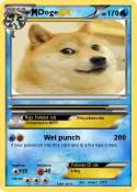 Doge