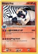 Hungry Pug