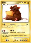 kaas