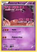 Material Barney