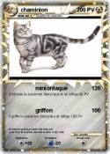 chaminion