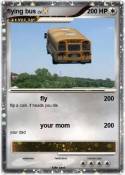 flying bus