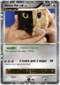 Venus the cat