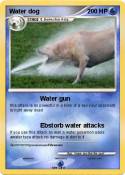 Water dog