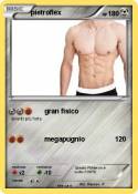 pietroflex