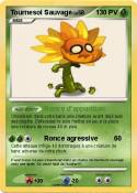 Tournesol