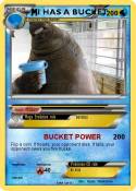 I HAS A BUCKET