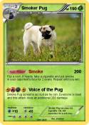 Smoker Pug