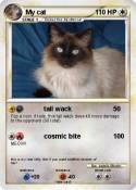 My cat