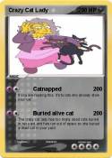 Crazy Cat Lady
