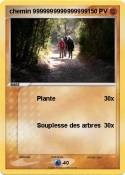 chemin 99999999