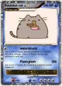 Foundue cat
