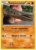 Vraimenmochefis